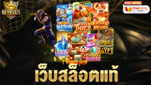 เว็บสล็อตแท้
